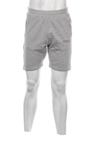Ανδρικό κοντό παντελόνι Hummel, Μέγεθος S, Χρώμα Γκρί, Τιμή 31,96 €