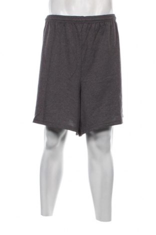Ανδρικό κοντό παντελόνι Hanes, Μέγεθος 3XL, Χρώμα Γκρί, Τιμή 12,37 €