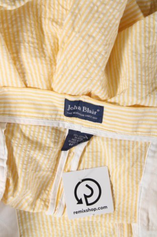 Ανδρικό κοντό παντελόνι John Blair, Μέγεθος XXL, Χρώμα Πολύχρωμο, Τιμή 12,28 €