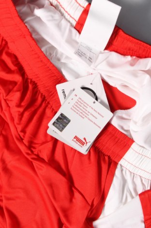 Ανδρικό κοντό παντελόνι PUMA, Μέγεθος XL, Χρώμα Κόκκινο, Τιμή 30,16 €