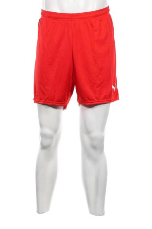 Ανδρικό κοντό παντελόνι PUMA, Μέγεθος L, Χρώμα Κόκκινο, Τιμή 22,62 €