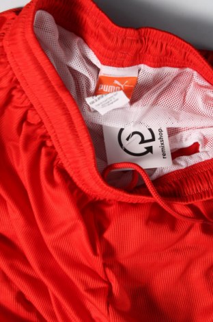 Ανδρικό κοντό παντελόνι PUMA, Μέγεθος S, Χρώμα Κόκκινο, Τιμή 21,43 €