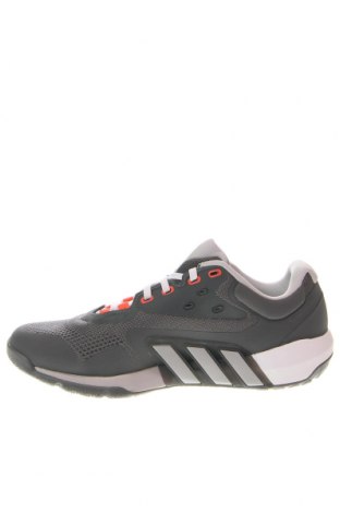 Herrenschuhe Adidas, Größe 44, Farbe Grau, Preis € 88,66