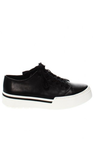 Pánské boty Calvin Klein, Velikost 43, Barva Černá, Cena  1 419,00 Kč