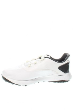 Ανδρικά παπούτσια PUMA, Μέγεθος 42, Χρώμα Λευκό, Τιμή 103,20 €