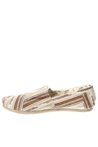 Ανδρικά παπούτσια Paez, Μέγεθος 45, Χρώμα Πολύχρωμο, Τιμή 20,97 €