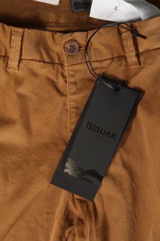 Pantaloni de bărbați Blauer, Mărime S, Culoare Maro, Preț 100,66 Lei