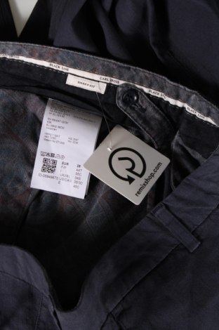 Ανδρικό παντελόνι Carl Gross, Μέγεθος L, Χρώμα Μπλέ, Τιμή 72,16 €
