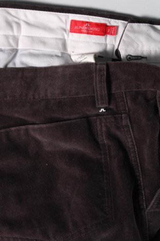Ανδρικό παντελόνι J.Lindeberg, Μέγεθος L, Χρώμα Γκρί, Τιμή 35,89 €