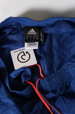 Herren Sporthose Adidas, Größe M, Farbe Blau, Preis 38,27 €