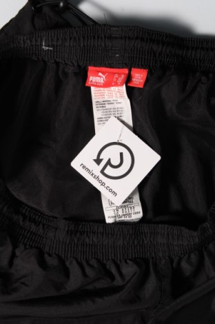 Ανδρικό παντελόνι PUMA, Μέγεθος XL, Χρώμα Μαύρο, Τιμή 22,45 €