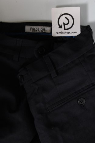 Мъжки панталон Prestige, Размер L, Цвят Син, Цена 9,57 лв.