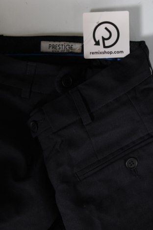 Herrenhose Prestige, Größe L, Farbe Blau, Preis 3,03 €