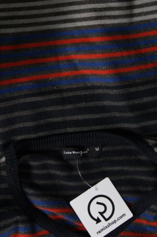 Мъжки пуловер CedarWood State, Размер M, Цвят Многоцветен, Цена 15,66 лв.