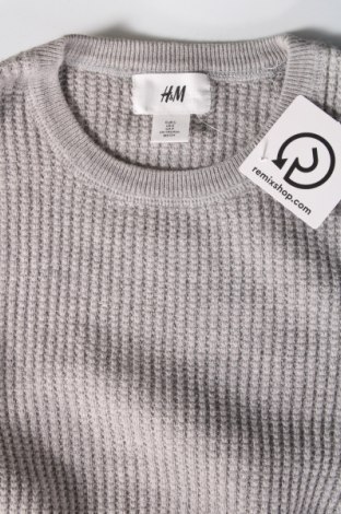 Ανδρικό πουλόβερ H&M, Μέγεθος S, Χρώμα Γκρί, Τιμή 6,28 €