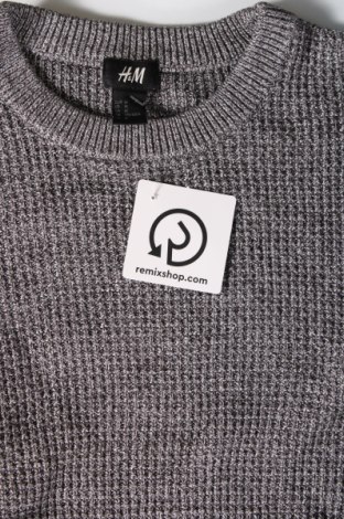 Ανδρικό πουλόβερ H&M, Μέγεθος M, Χρώμα Γκρί, Τιμή 9,69 €