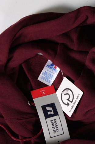 Herren Sweatshirt Russell, Größe S, Farbe Rot, Preis 47,94 €