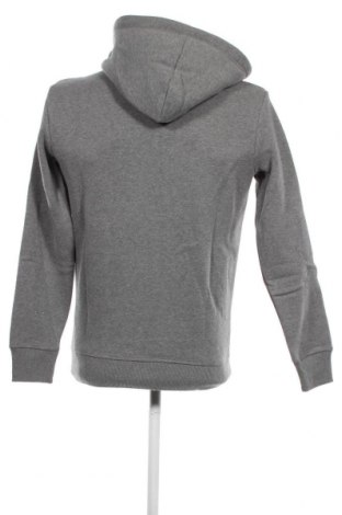 Herren Sweatshirt Superdry, Größe XS, Farbe Grau, Preis € 29,51