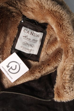 Ανδρικό δερμάτινο μπουφάν Canda, Μέγεθος XL, Χρώμα Καφέ, Τιμή 66,19 €