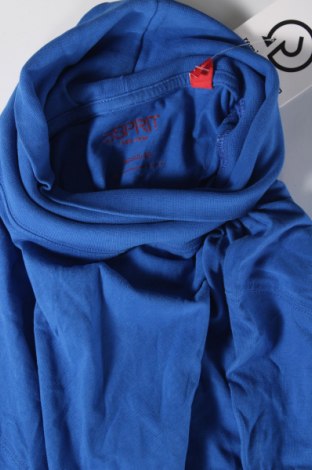 Herren Rollkragen Esprit, Größe XXL, Farbe Blau, Preis 15,66 €