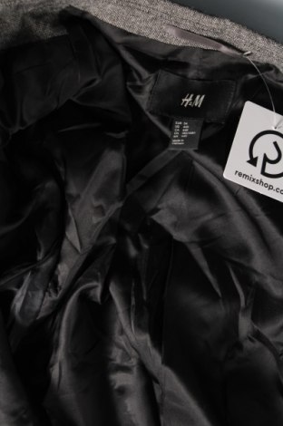 Pánske sako  H&M, Veľkosť XL, Farba Sivá, Cena  7,73 €