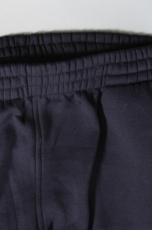 Ανδρικό αθλητικό παντελόνι, Μέγεθος S, Χρώμα Μπλέ, Τιμή 9,69 €