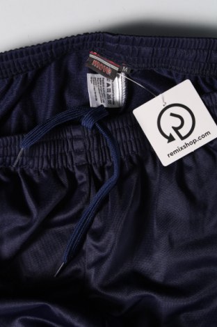 Ανδρικό αθλητικό παντελόνι, Μέγεθος M, Χρώμα Μπλέ, Τιμή 7,53 €