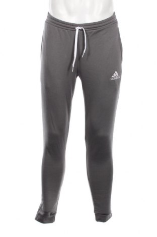 Ανδρικό αθλητικό παντελόνι Adidas, Μέγεθος S, Χρώμα Γκρί, Τιμή 40,75 €