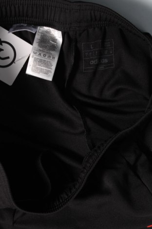 Мъжко спортно долнище Adidas, Размер L, Цвят Черен, Цена 93,00 лв.