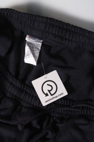 Ανδρικό αθλητικό παντελόνι Damart, Μέγεθος XL, Χρώμα Μπλέ, Τιμή 14,53 €