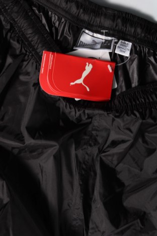 Herren Sporthose PUMA, Größe L, Farbe Schwarz, Preis 23,49 €