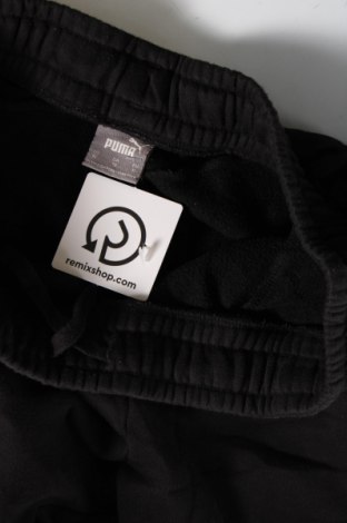 Herren Sporthose PUMA, Größe XL, Farbe Schwarz, Preis 28,53 €