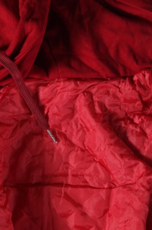 Pánska bunda , Veľkosť M, Farba Viacfarebná, Cena  16,45 €