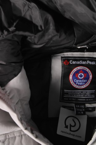 Ανδρικό μπουφάν Canadian Peak, Μέγεθος 4XL, Χρώμα Γκρί, Τιμή 107,19 €