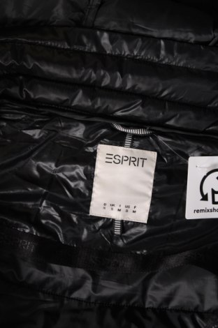 Pánská bunda  Esprit, Velikost S, Barva Černá, Cena  920,00 Kč