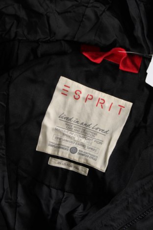 Pánska bunda  Esprit, Veľkosť S, Farba Čierna, Cena  8,76 €