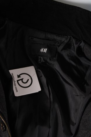 Pánska bunda  H&M, Veľkosť L, Farba Sivá, Cena  8,17 €