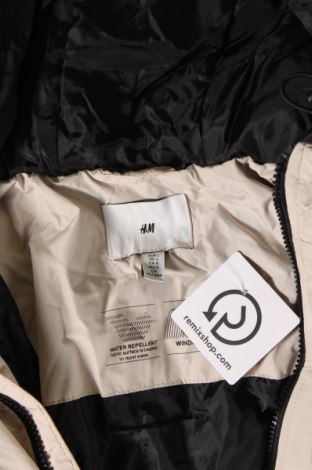 Ανδρικό μπουφάν H&M, Μέγεθος L, Χρώμα  Μπέζ, Τιμή 35,88 €