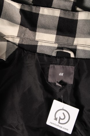 Ανδρικό μπουφάν H&M, Μέγεθος L, Χρώμα Πολύχρωμο, Τιμή 14,55 €