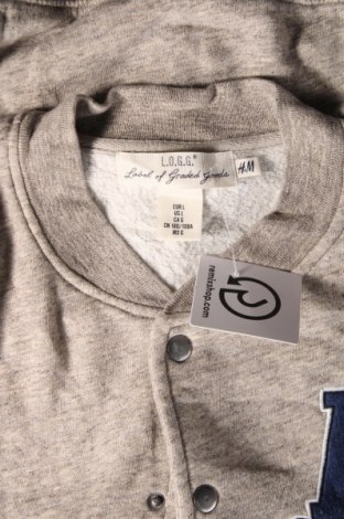 Pánska bunda  H&M L.O.G.G., Veľkosť L, Farba Sivá, Cena  5,99 €