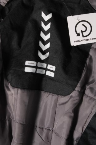 Ανδρικό μπουφάν Hummel, Μέγεθος M, Χρώμα Μαύρο, Τιμή 35,88 €