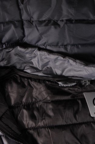 Pánska bunda  Livergy, Veľkosť XL, Farba Sivá, Cena  16,33 €