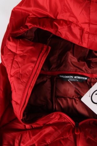 Pánska bunda  Salomon, Veľkosť XL, Farba Červená, Cena  108,28 €