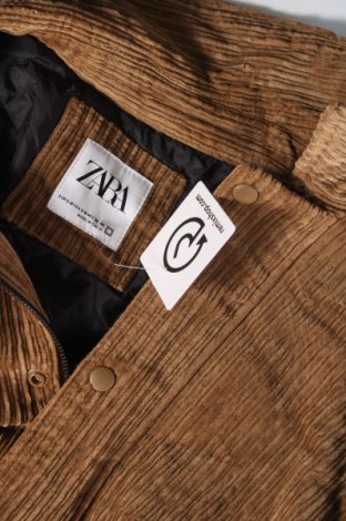 Pánska bunda  Zara, Veľkosť M, Farba Béžová, Cena  8,84 €