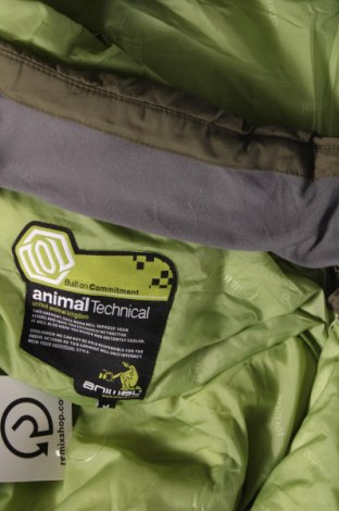 Мъжко яке за зимни спортове Animal, Размер M, Цвят Зелен, Цена 90,00 лв.