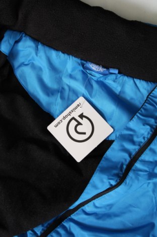 Ανδρικό μπουφάν για χειμερινά σπορ Double speed, Μέγεθος L, Χρώμα Μπλέ, Τιμή 53,20 €