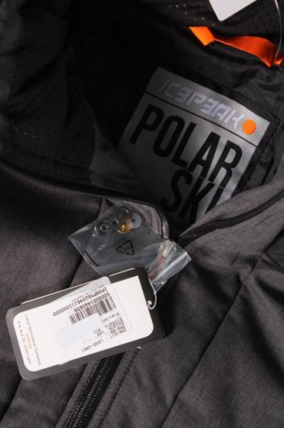 Pánska bunda pre zimné športy Icepeak, Veľkosť L, Farba Sivá, Cena  129,02 €