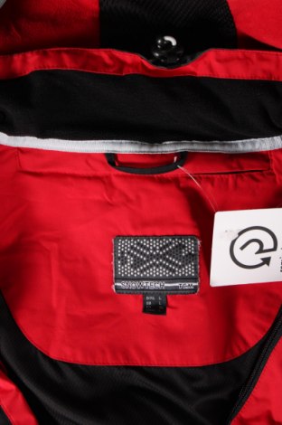 Pánska bunda pre zimné športy Tchibo, Veľkosť L, Farba Čierna, Cena  22,43 €