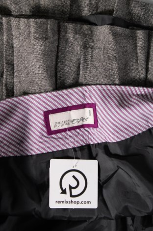 Φούστα Esprit, Μέγεθος XS, Χρώμα Γκρί, Τιμή 4,56 €