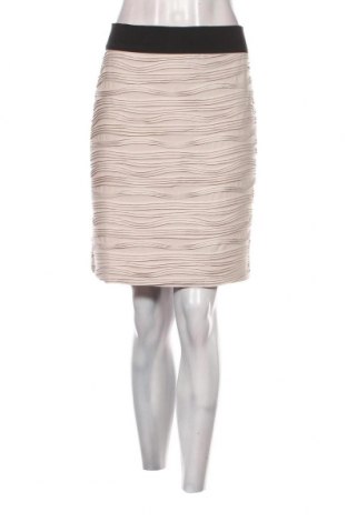 Φούστα H&M, Μέγεθος XL, Χρώμα Γκρί, Τιμή 7,05 €